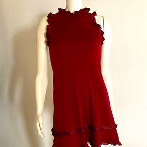 Wine small mini dress